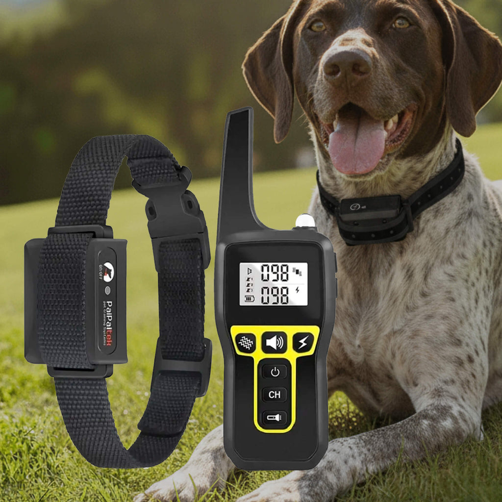 Dog Training Collar | 1000m Remote Range | Adjustable Reflective Nylon | Waterproof & Rechargeable