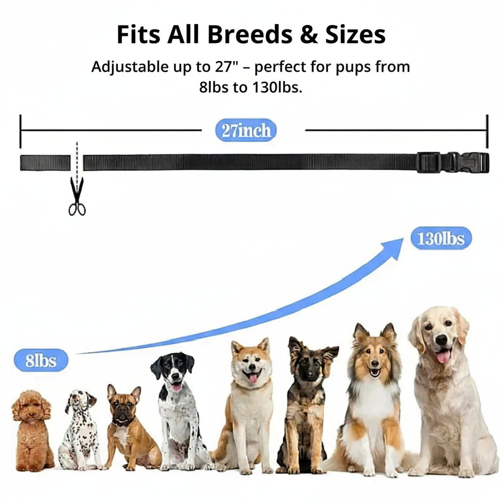 Dog Training Collar | 1000m Remote Range | Adjustable Reflective Nylon | Waterproof & Rechargeable