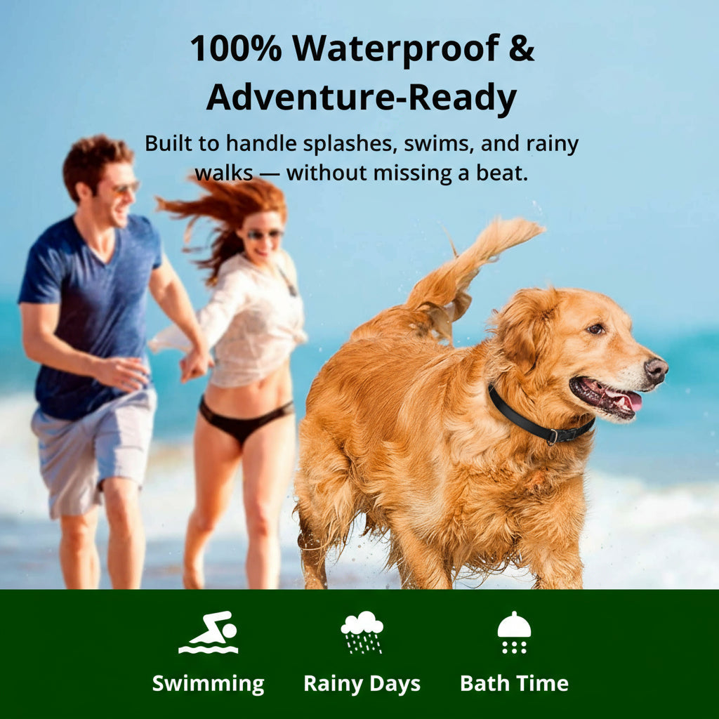 Dog Training Collar | 1000m Remote Range | Adjustable Reflective Nylon | Waterproof & Rechargeable