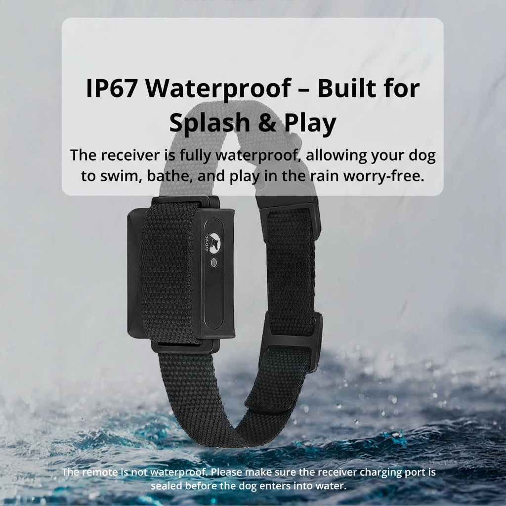 Dog Training Collar | 1000m Remote Range | Adjustable Reflective Nylon | Waterproof & Rechargeable