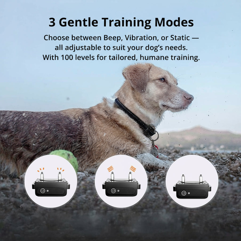 Dog Training Collar | 1000m Remote Range | Adjustable Reflective Nylon | Waterproof & Rechargeable