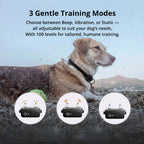Dog Training Collar | 1000m Remote Range | Adjustable Reflective Nylon | Waterproof & Rechargeable