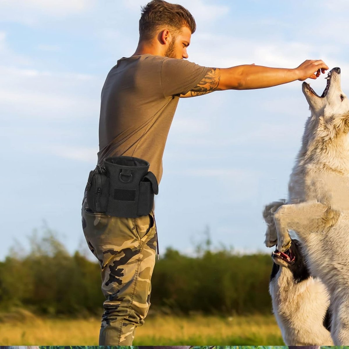 Dog Treat Pouch | Tactical Quick-Access | Zippered Compartments | Outdoor Use