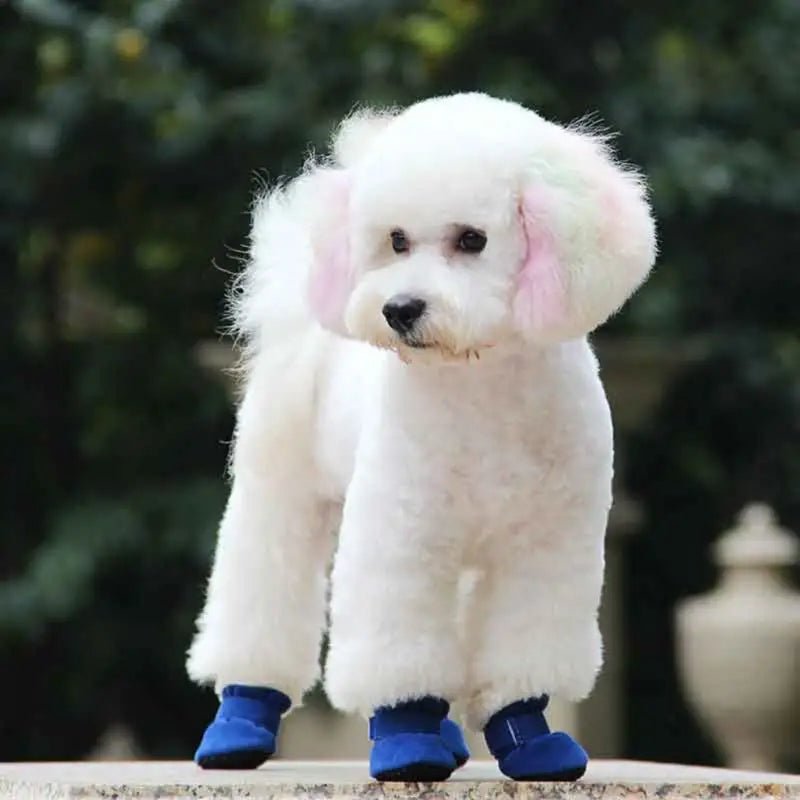Dog Waterproof Boots | Insulated Velvet Lining | Non-Slip Sole & Windproof