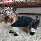 Dog Waterproof Boots | Insulated Velvet Lining | Non-Slip Sole & Windproof