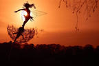 Fairy Garden Stake | Dancing Fairy Wind Spinner | Metal Dandelion & 31.5 in Stake