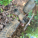 Garden Bird Wind Spinner | Animated Swinging Design | Powder-Coated Metal, Eagle & Owl Styles