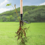 Garden Weeder | Detachable Extendable Handle | Stainless Steel | Ergonomic Design