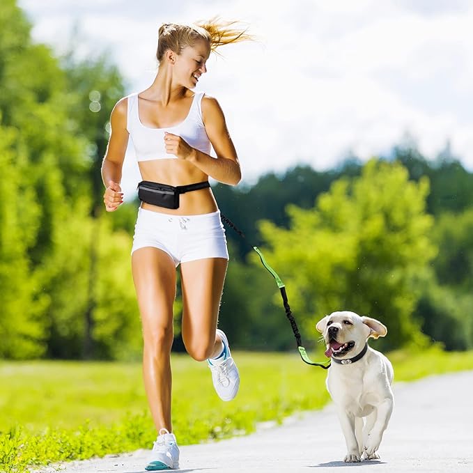 Hands-Free Dog Leash | Shock-Absorbing Bungee | Adjustable Hip Belt with Pockets | Comfortable Fit