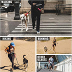Hands-Free Dog Leash | Shock-Absorbing Bungee | Adjustable Hip Belt with Pockets | Comfortable Fit