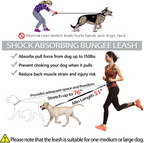 Hands-Free Dog Leash | Shock-Absorbing Bungee | Adjustable Hip Belt with Pockets | Comfortable Fit