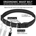 Hands-Free Dog Leash | Shock-Absorbing Bungee | Adjustable Hip Belt with Pockets | Comfortable Fit