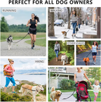 Hands-Free Dog Leash | Shock-Absorbing Bungee | Adjustable Hip Belt with Pockets | Comfortable Fit