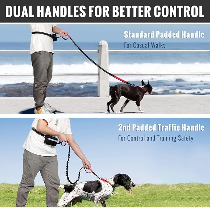 Hands-Free Dog Leash | Shock-Absorbing Bungee | Adjustable Hip Belt with Pockets | Comfortable Fit