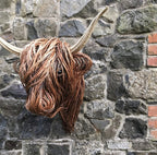 Highland Cow Wall Sculpture | Woven Willow Design | Resin Accents & Curved Horns | Indoor Decor