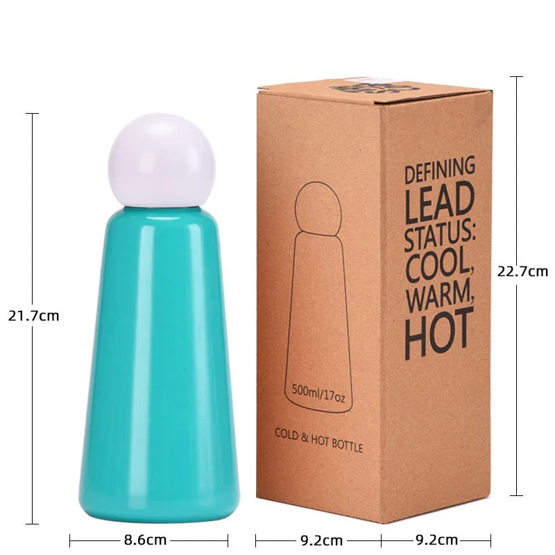 Insulated Stainless Steel Water Bottle | Double-Wall Vacuum Insulation | Leak-Proof & Sweat-Free