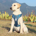 No-Pull Dog Harness | Front-Clip Redirect Design | Reflective & Breathable Padding | Comfort Fit