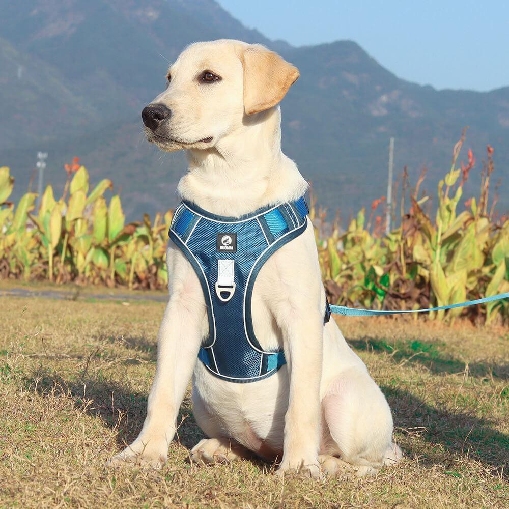 No-Pull Dog Harness | Front-Clip Redirect Design | Reflective & Breathable Padding | Comfort Fit