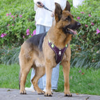 No-Pull Dog Harness | Front-Clip Redirect Design | Reflective & Breathable Padding | Comfort Fit