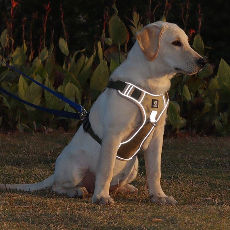 No-Pull Dog Harness | Front-Clip Redirect Design | Reflective & Breathable Padding | Comfort Fit