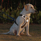 No-Pull Dog Harness | Front-Clip Redirect Design | Reflective & Breathable Padding | Comfort Fit