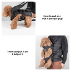 Pet Carrier for Dogs & Cats | Waterproof & Breathable | Adjustable Straps & Ergonomic Design