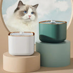 Pet Water Fountain | Ultra-Quiet Self-Circulating | 3L Capacity & Filtered | USB Powered