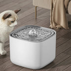 Pet Water Fountain | Ultra-Quiet Self-Circulating | 3L Capacity & Filtered | USB Powered