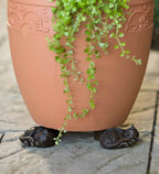 Plant Pot Risers | Animal Figurine Design | Set of 3 Frost-Resistant Resin | Improves Drainage