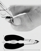 Senior Toenail Clipper | Curved Blade | Stainless Steel | Ergonomic Grip & Splashguard