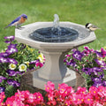 Solar Garden Fountain Pump | 50cm Jet Height | Monocrystalline Panel | Easy Setup