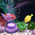 Underwater LED Lamp | 16 Colors & Multiple Modes | Remote & Suction Cups | Pool, Pond & Bathtub
