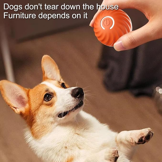 ThrillPup™ — Ignite Boundless Joy and Energy with Every Chase