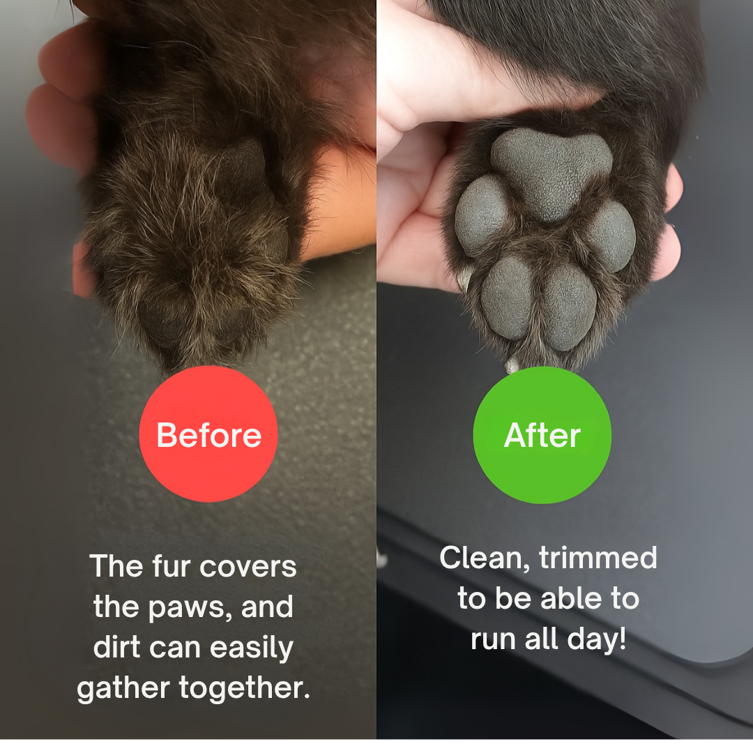 GlidoPet™ — Turn Grooming Stress into Calm, Cuddle-Ready Paws
