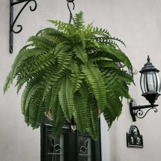 EmeraldMoss™ — Stunningly Real Greenery That Thrives Without Effort or Watering