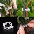 Plant Support Clips Plastic | Inner Diameter 1 Inch | Reusable | Stemhold