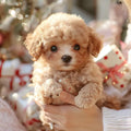 HeartPup™ — Experience Unforgettable Puppy Love That Warms Your Heart Instantly