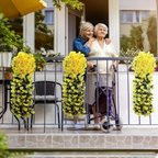 FloraVerve™ — Transform Any Room with Timeless, Carefree Orchid Elegance