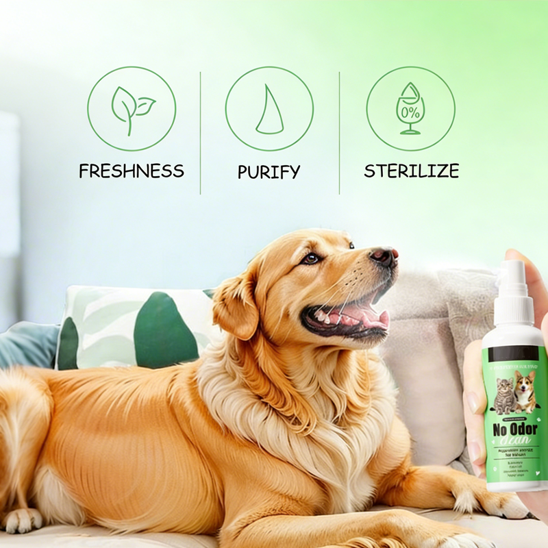 SmileSpritz™ — Transform Your Pet’s Breath into Pure, Cuddle-Worthy Freshness