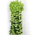 SilkaBloom™ — Transform Every Space with Effortless, Everlasting Orchid Elegance
