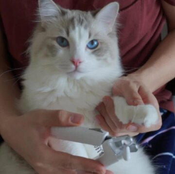 PawLuma™ — Master Nail Trims with Calm Confidence and Zero Stress