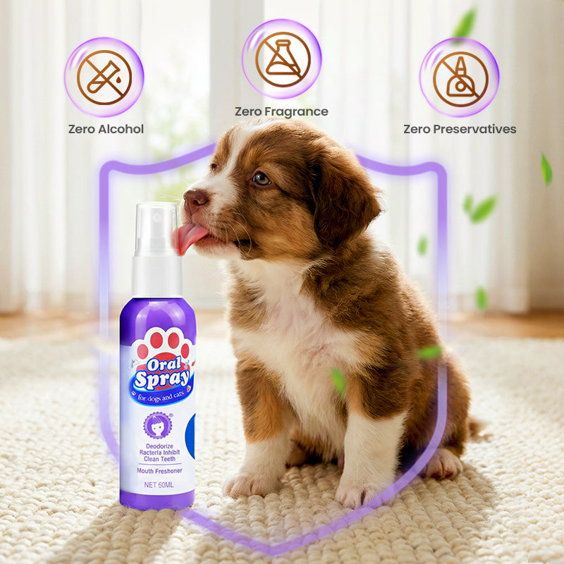 BioBrite™ Pet Dental Spray — Spark Irresistible Freshness and Endless Cuddles Every Day