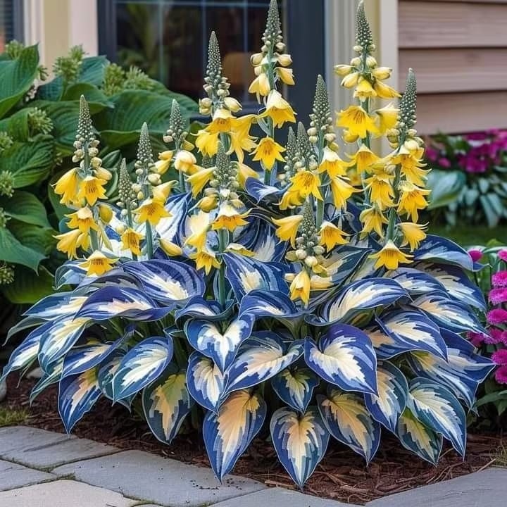 ShadeMuse™ — Transform Hidden Shade into a Vibrant, Effortless Garden Sanctuary