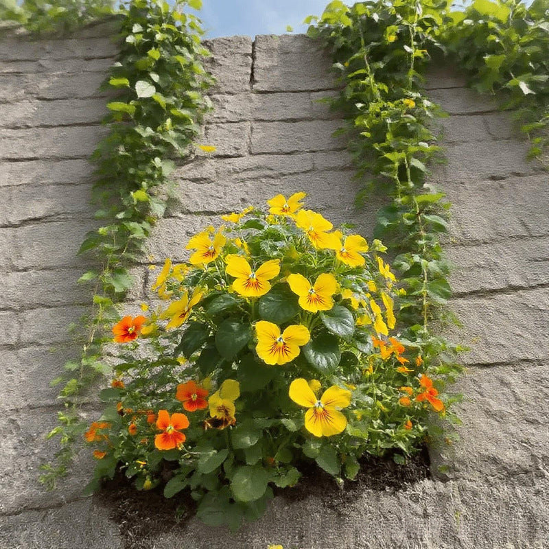 EnchantWing™ Butterfly Bloom Seeds — Transform Your Garden into a Vibrant Butterfly Paradise That Dazzles Every Eye