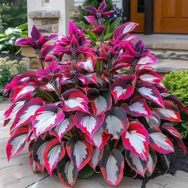 ShadeMuse™ — Transform Hidden Shade into a Vibrant, Effortless Garden Sanctuary