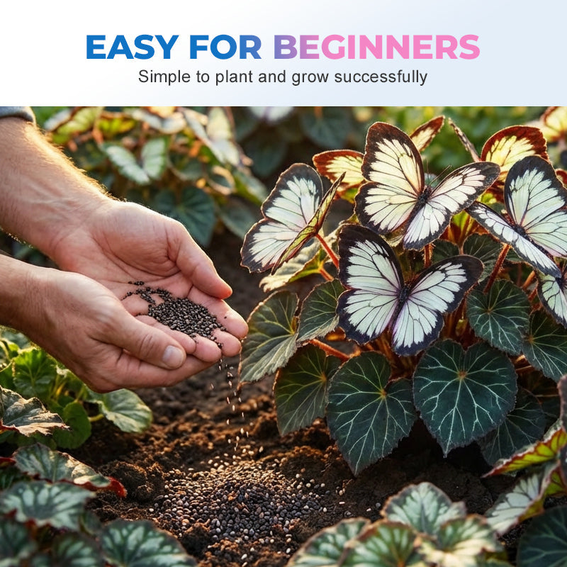 EnchantWing™ Butterfly Bloom Seeds — Transform Your Garden into a Vibrant Butterfly Paradise That Dazzles Every Eye