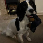 TitanChew™ — Unbreakable Fun That Keeps Your Dog Happy and Healthy