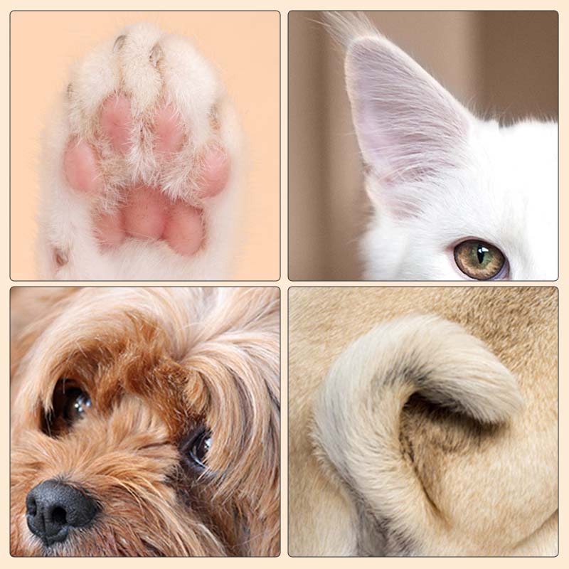 AlurexTrim™ — Whisper-Quiet Precision That Makes Grooming a Breeze and Pets Stay Calm