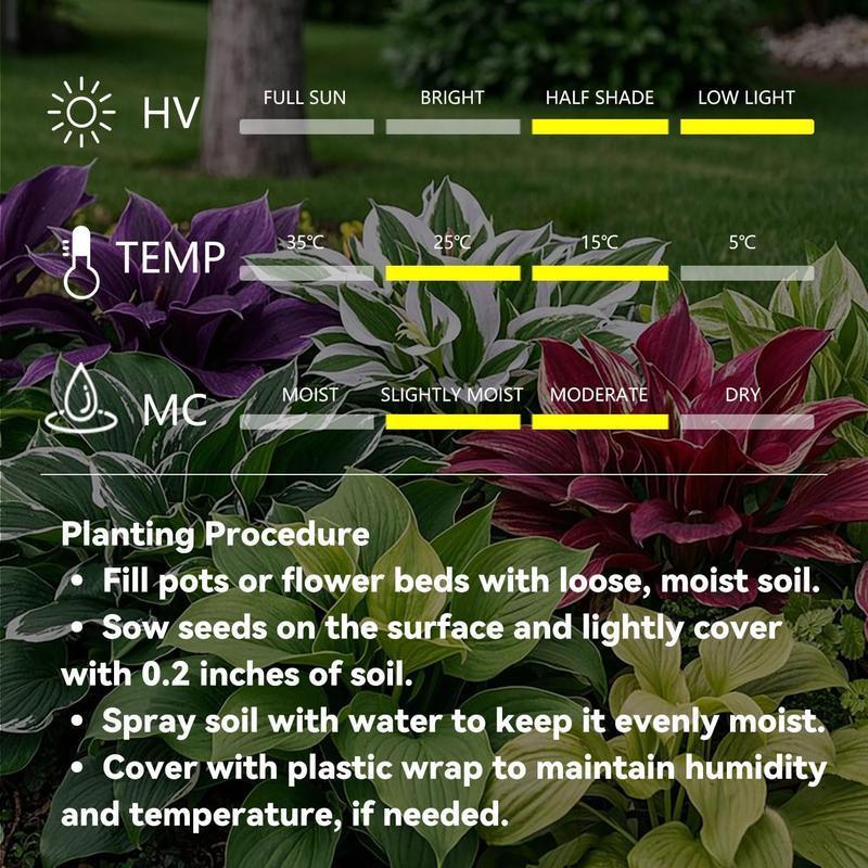 ShadeMuse™ — Transform Hidden Shade into a Vibrant, Effortless Garden Sanctuary