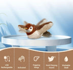 RioBird™ — Ignite Your Cat’s Wild Play and Endless Joy